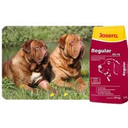 Josera Regular 20 kg DOPRAVA ZDARMA PO CELÉ ČR Josera Regular 20 kg DOPRAVA ZDARMA PO CELÉ ČR